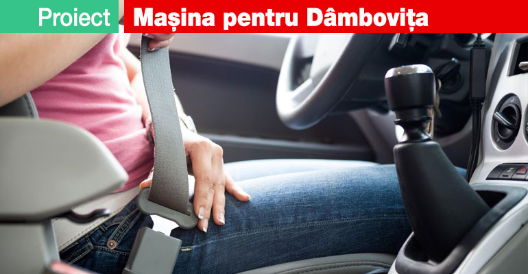 Proiect Dambovita