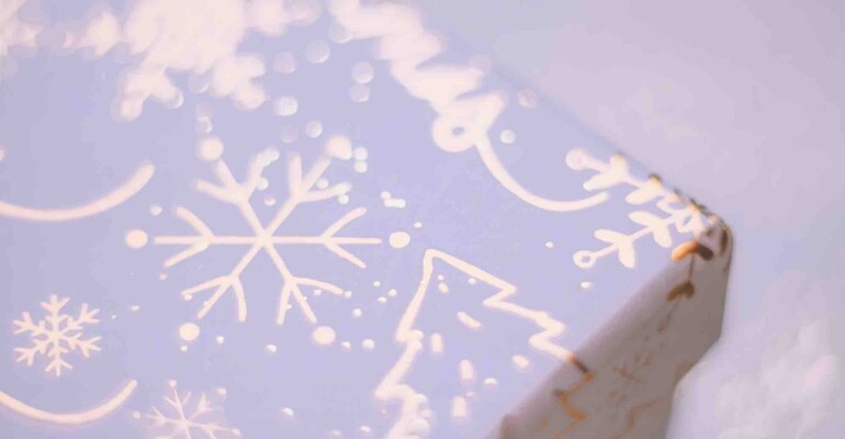 Violeta  Proiect craciun