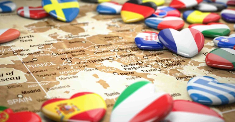 Estera proiect - site